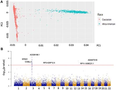 Phenotype-Genotype analysis of caucasian patients with high risk of osteoarthritis